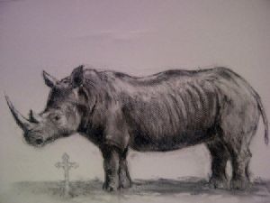 "Rhino and Cross"