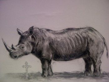 "Rhino and Cross"