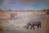 "Etosha Rhino"