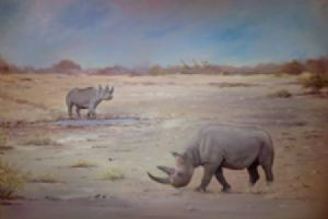 "Etosha Rhino"