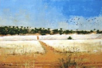 "Firebreak on Farm Field Magaliesberg"
