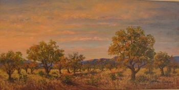 "Bushveld Glow"