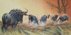 "Wildebeest"