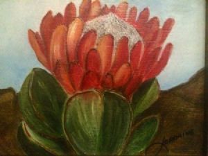 "SA Flora"