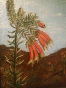 "SA Flora 012"