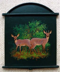 "Cape Grysbok"