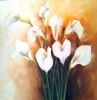 "Arum Lilies"