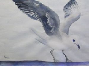 "Nelson the Seagull"