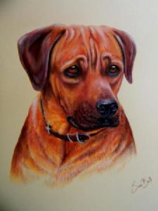 "Dog Portrait"