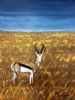 "Springbok in African Field"