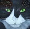 "Pieces of Color - Cat"