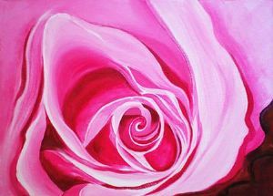 "Pink Rose"