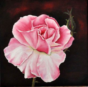 "Rose of Elegance 3"