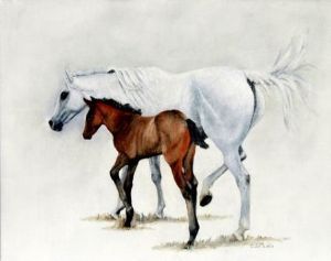 "Mare & Foal"