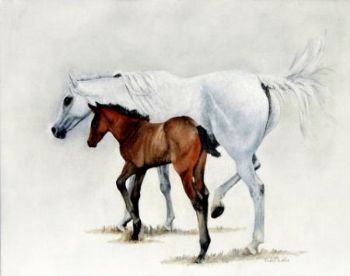 "Mare & Foal"