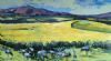 "Blue Cranes Among Canola Fields"