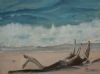 "Art From The Ocean"