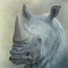 "Rhino"