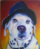 "Frank Dog Wearing Hat"