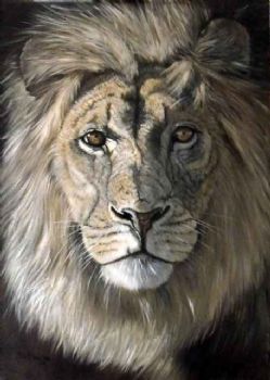 "The Lion"