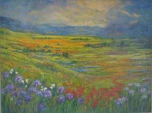 "Spring Showers Namaqualand"