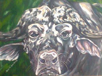 "Buffalo"