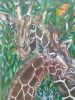 "Giraffe Love"