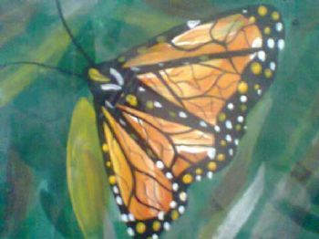 "Lovely Butterfly for You My Love"