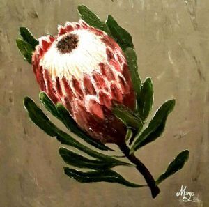 "Protea 1"