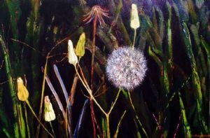 "Dandelion"