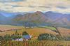 "Vineyards in Boland"