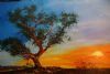 "Kalahari Sunset"