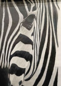 "Zebra"