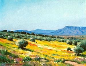 "Namaqualand - Near Vanrhynsdorp"