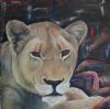 "Lion Watching"