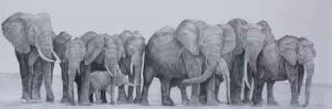 "Elephant Herd"