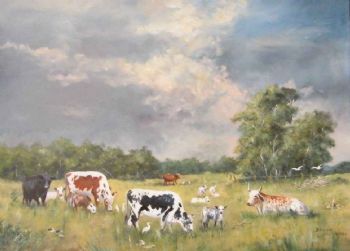 "Nguni Cattle Farm Port Alfred 2"