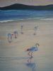 "Flamingoes"