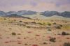 "Namaqualand Scene, Goegap Nature Reserve 1"