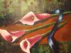 "Pink Arum Lilies"