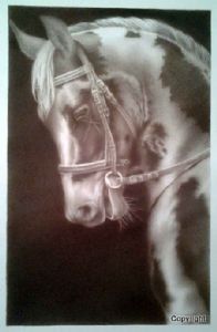 "Paint Horse"