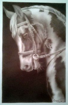 "Paint Horse"