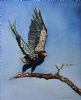 "Bateleur"