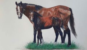 "Thoroughbred Mare and Foal"