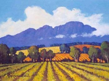 "Dusky Landscape, Simonsberg"