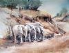 "Riverbed Elephants "