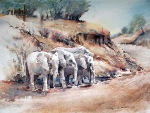 "Riverbed Elephants "