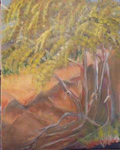 "Trees in a Donga"