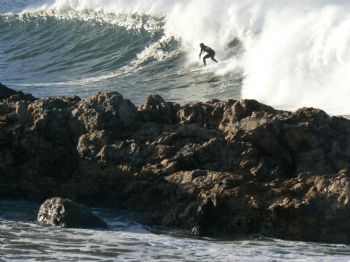 "Surfer Shark Rock"