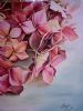 "Pink Pallette - Christmas Roses"